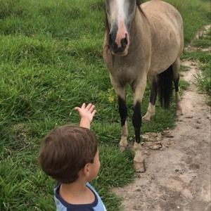 Meet your Posher, Helena